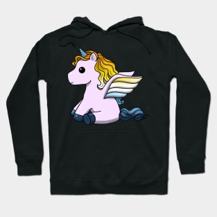 Aroace Unicorn Hoodie